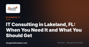 IT Consulting in Lakeland, FL: When You Need It and What You Should Get