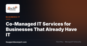 Co-Managed IT Services for Businesses That Already Have IT